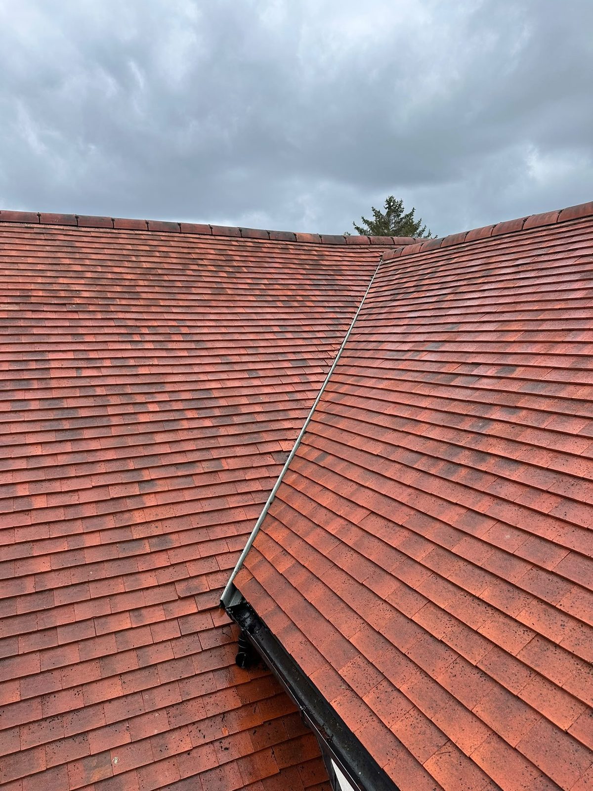 After &mdash; same tile detail once biocide treatment was complete (matched pair)