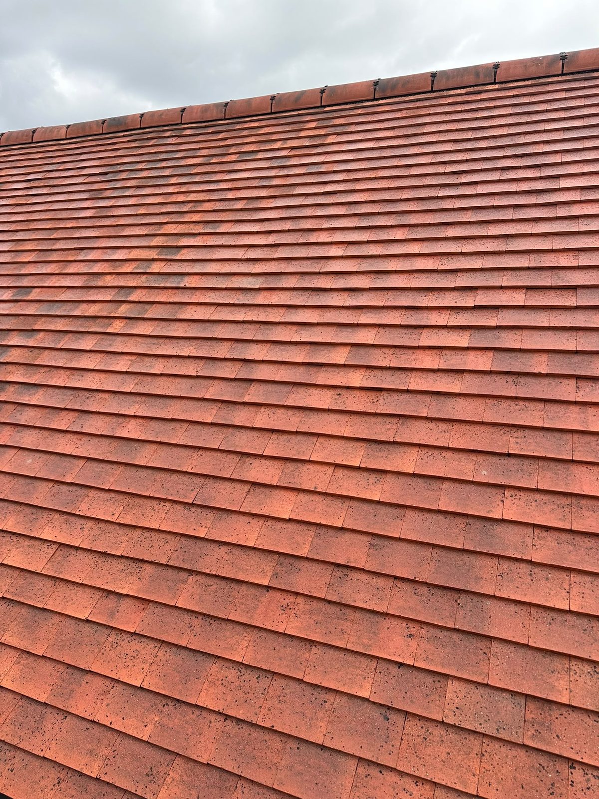 Clean red concrete roof tiles after soft-wash treatment