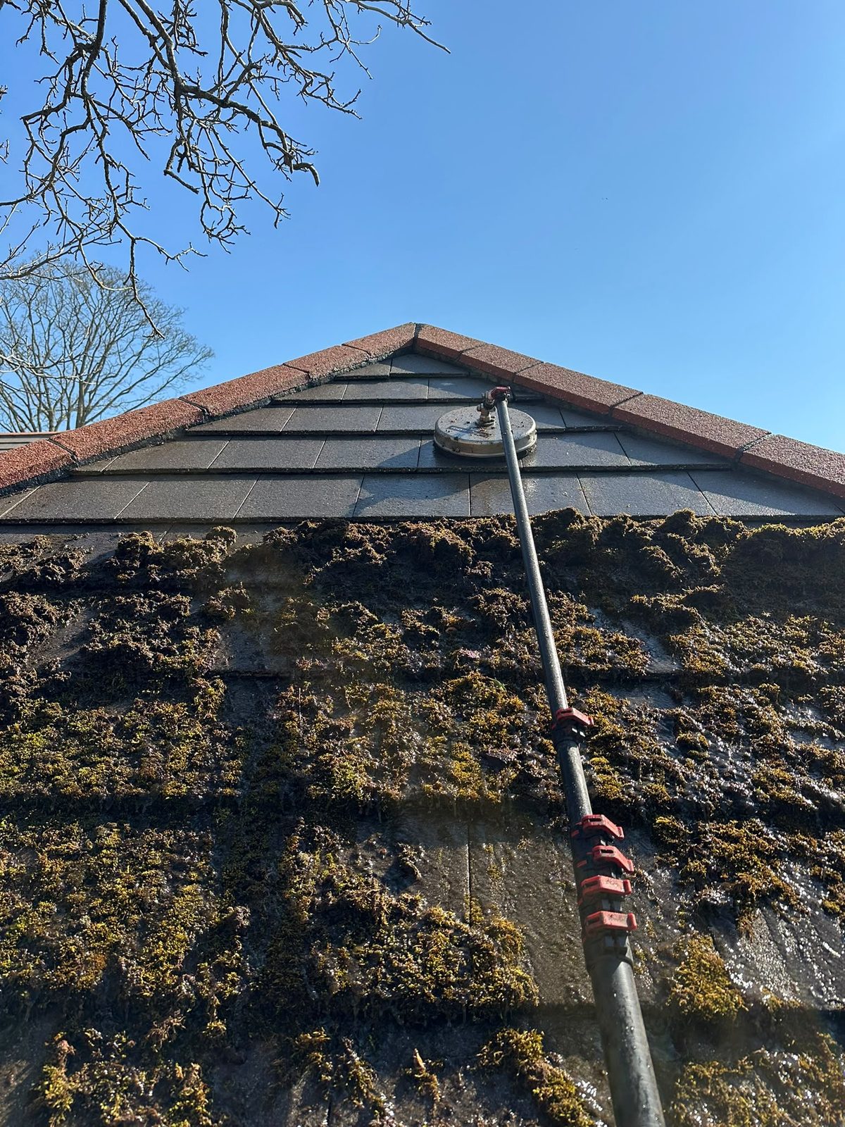 The condition this kind of job addresses — heavy moss on a typical Hampshire roof, pole visible for scale