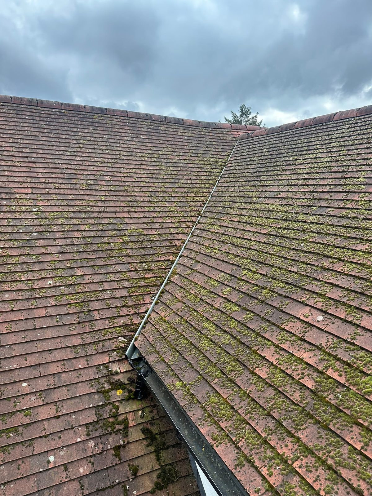 Before &mdash; concrete pantile close-up showing typical moss coverage