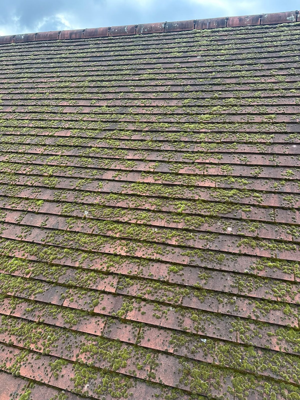 Weathered concrete roof tiles with heavy moss build-up, before soft-wash treatment