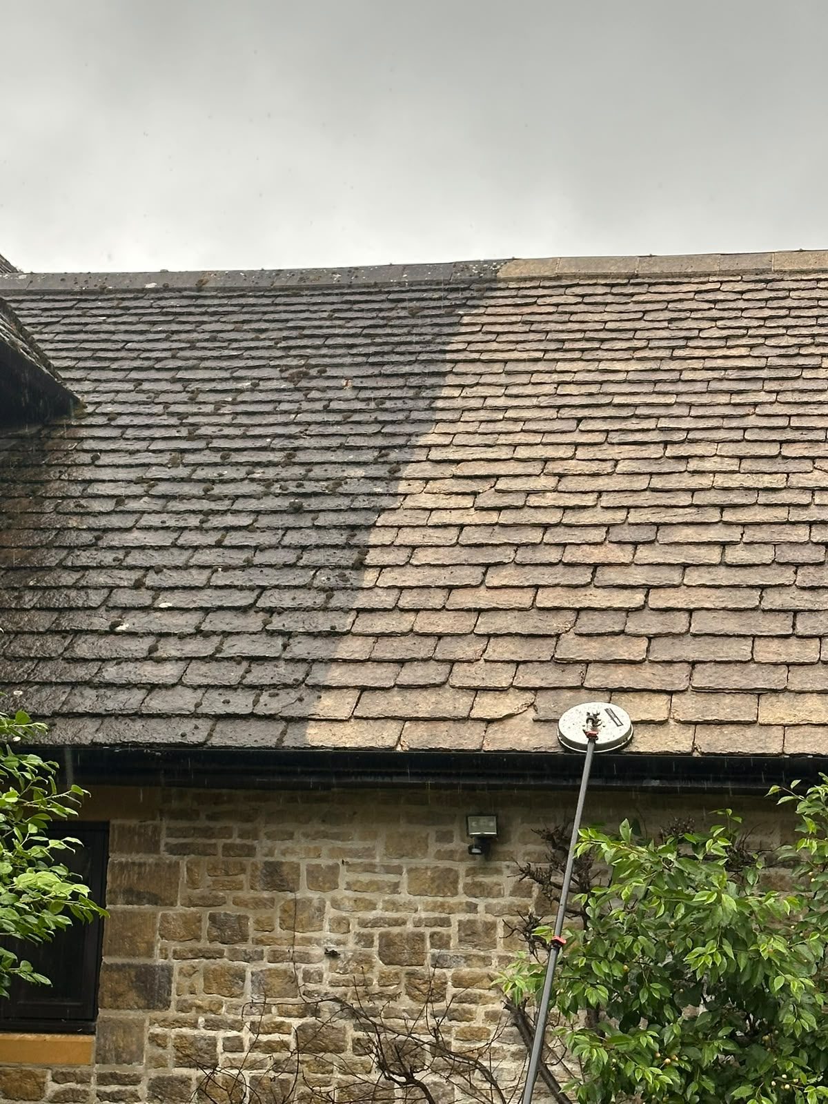 Detail of the slate substrate — sensitive material that cannot be pressure-washed